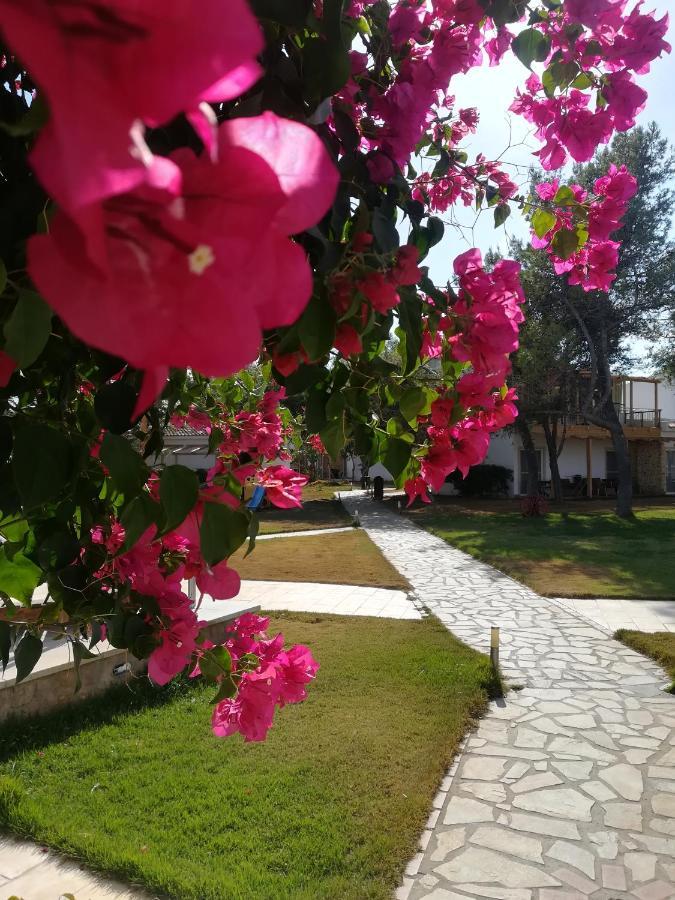 Готель Marzi Beach And Bungalows Kokkonion Екстер'єр фото