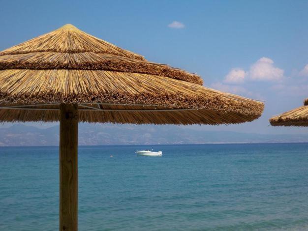 Готель Marzi Beach And Bungalows Kokkonion Екстер'єр фото